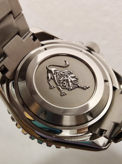 Ceas DSW115 "GS Diver"