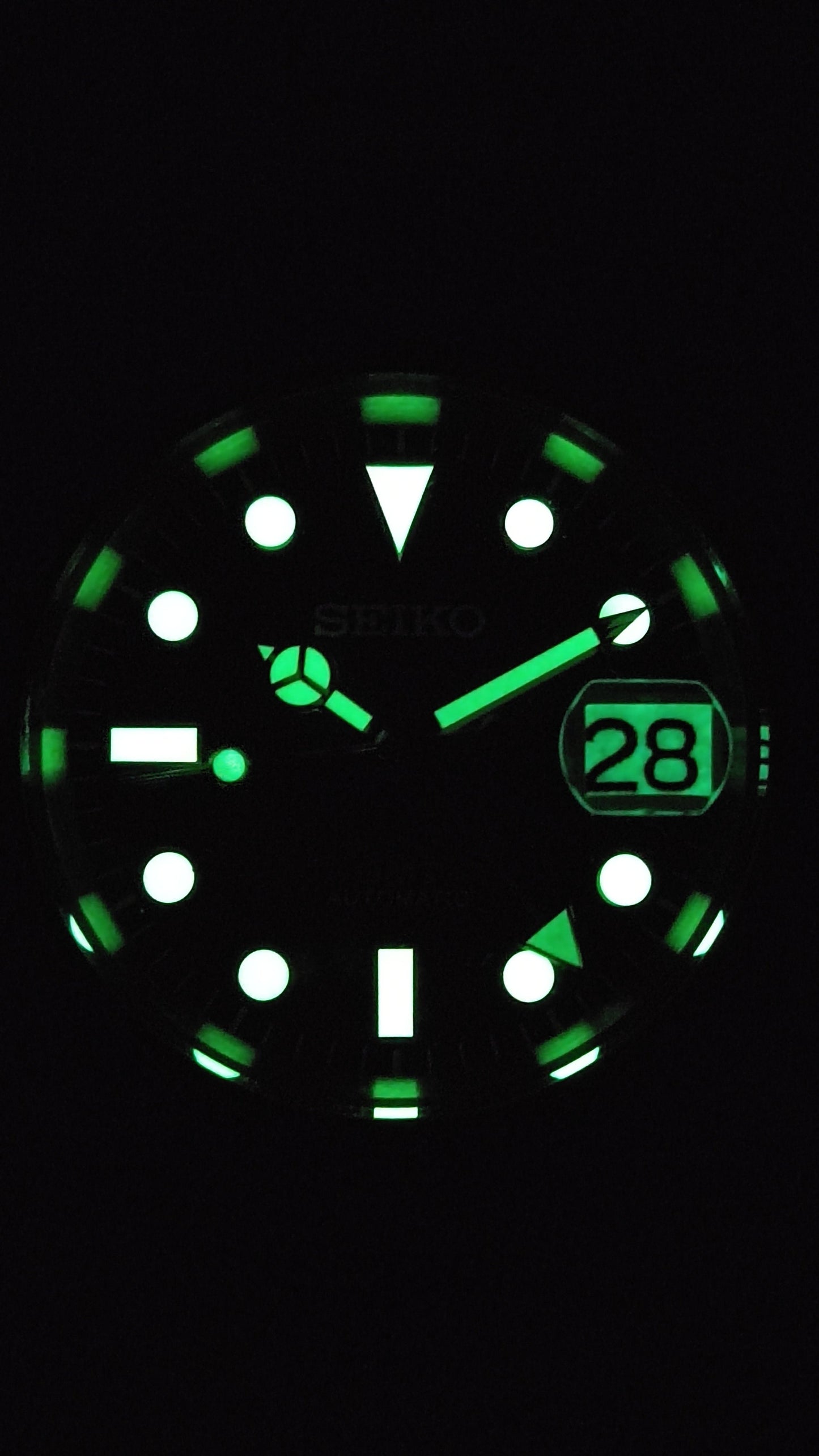 Ceas DSW146 "GMT Master II"