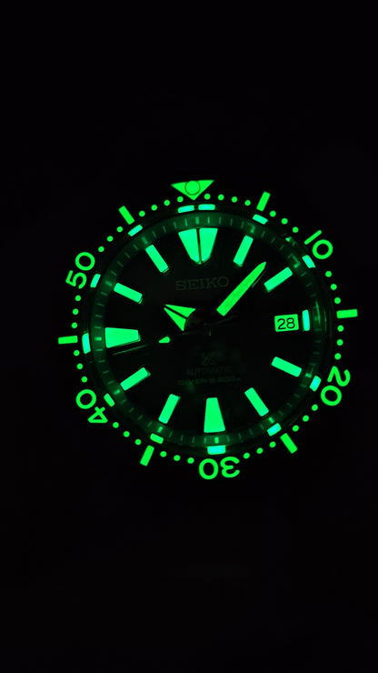 Ceas DSW153 "Stealth SKX"
