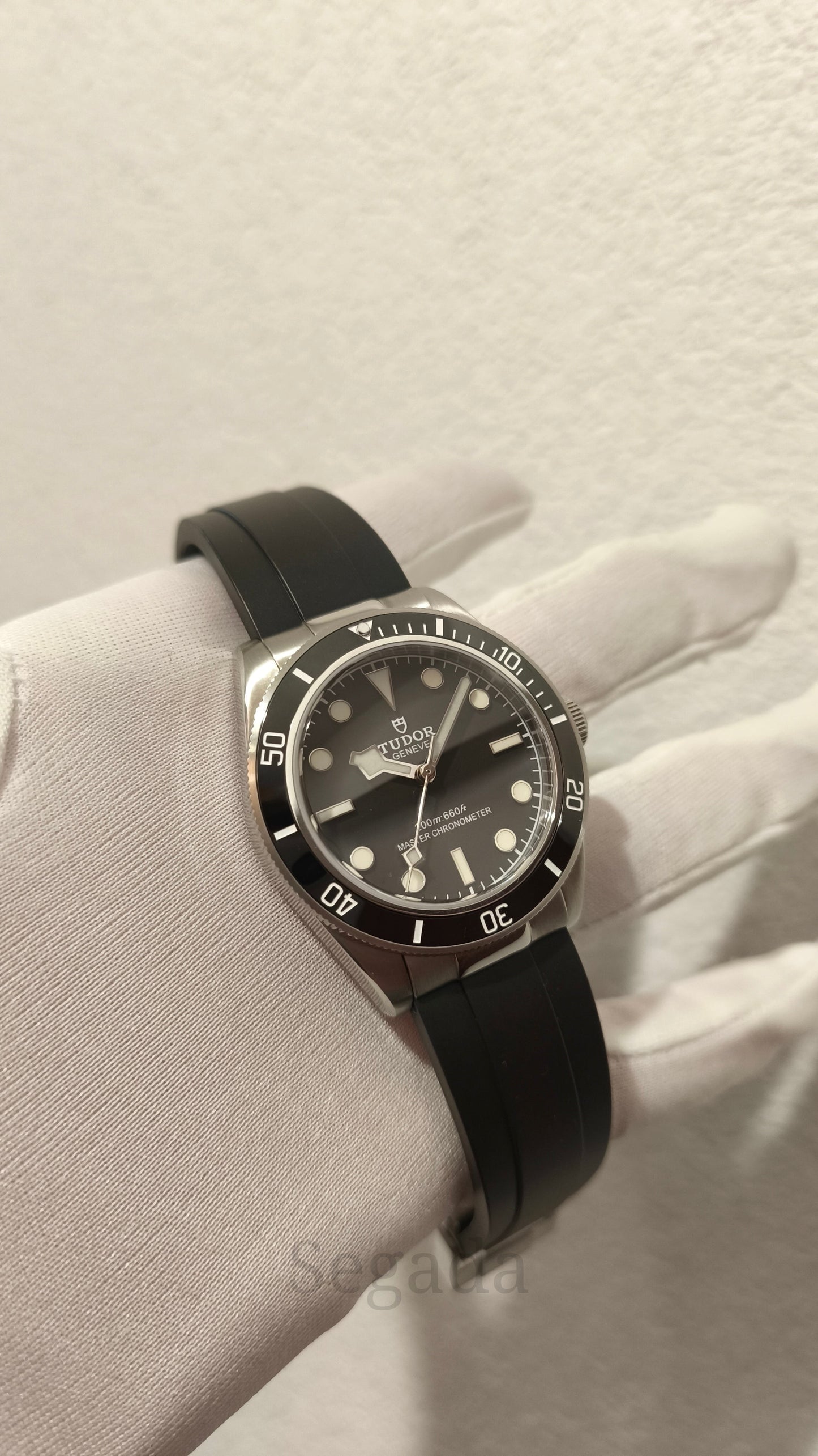 Ceas DSW176 "Black Bay"