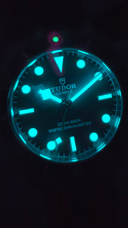 Ceas DSW176 "Black Bay"