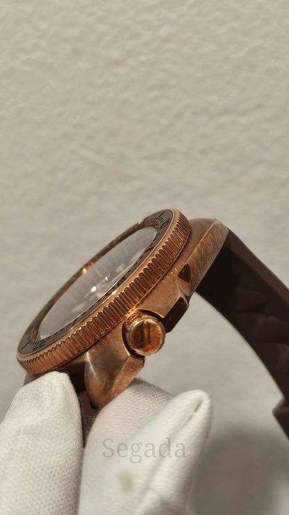 Ceas DSW174 "Bronze Turtle"