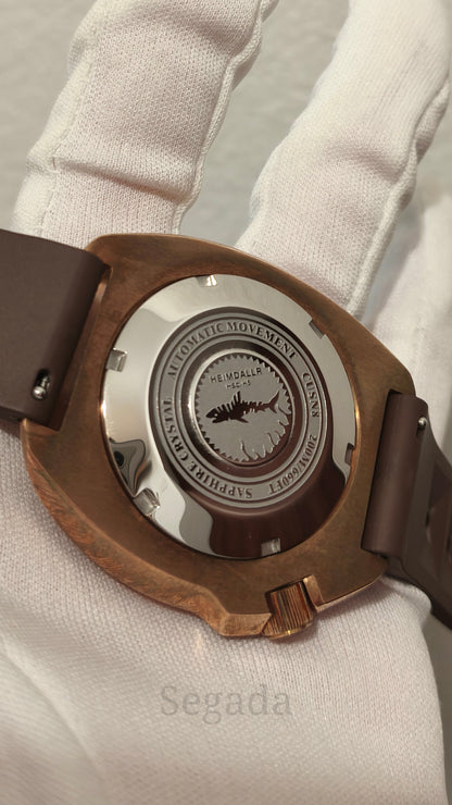 Ceas DSW174 "Bronze Turtle"