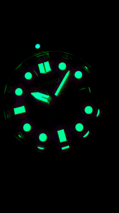 Ceas DSW174 "Bronze Turtle"