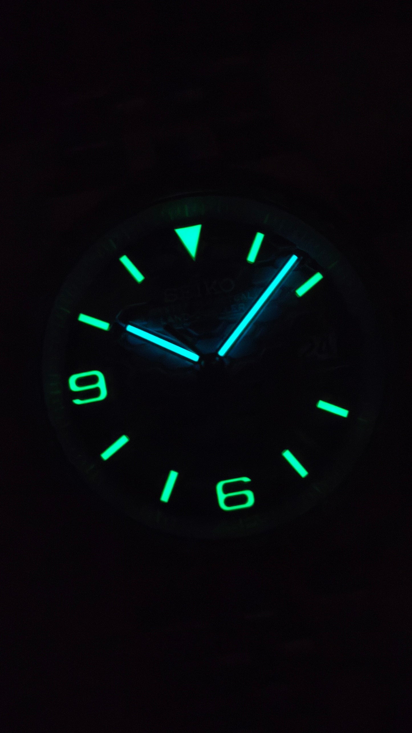 Ceas DSW171 "Land-Dweller"