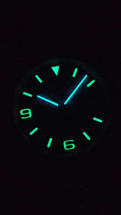 Ceas DSW171 "Land-Dweller"