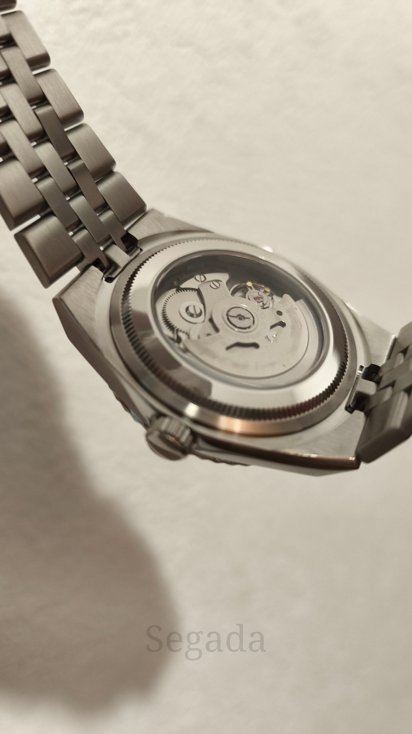 Ceas DSW171 "Land-Dweller"